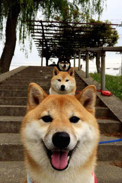 跨界焦点，浙江加时鏖战独行侠，利拉德在意甲赛场接管比赛